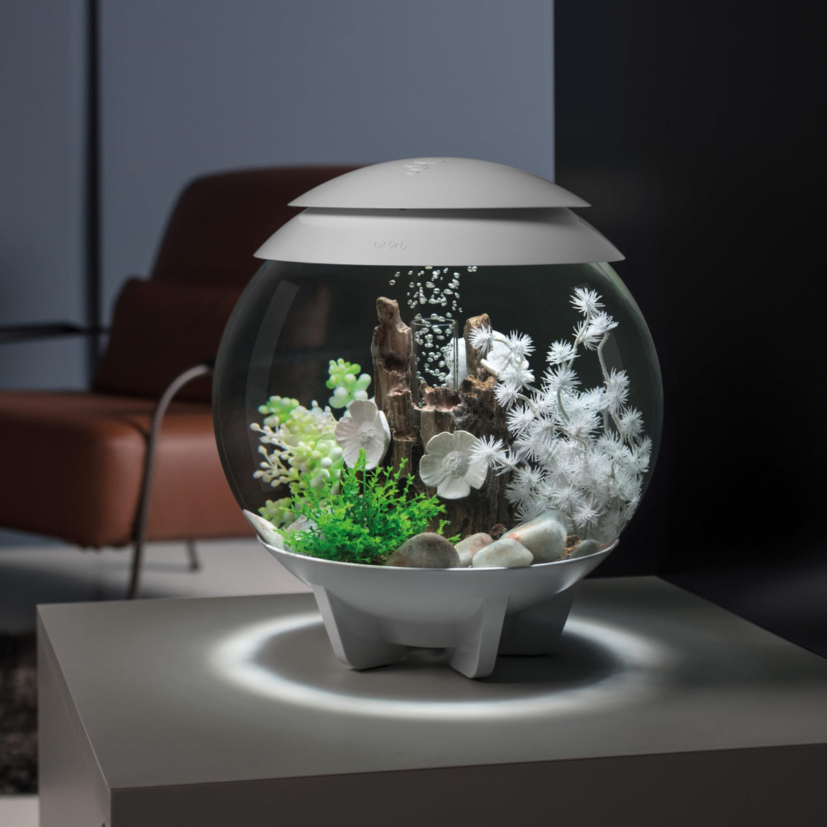 15 Gallon White Aquarium with LED Lights Z868