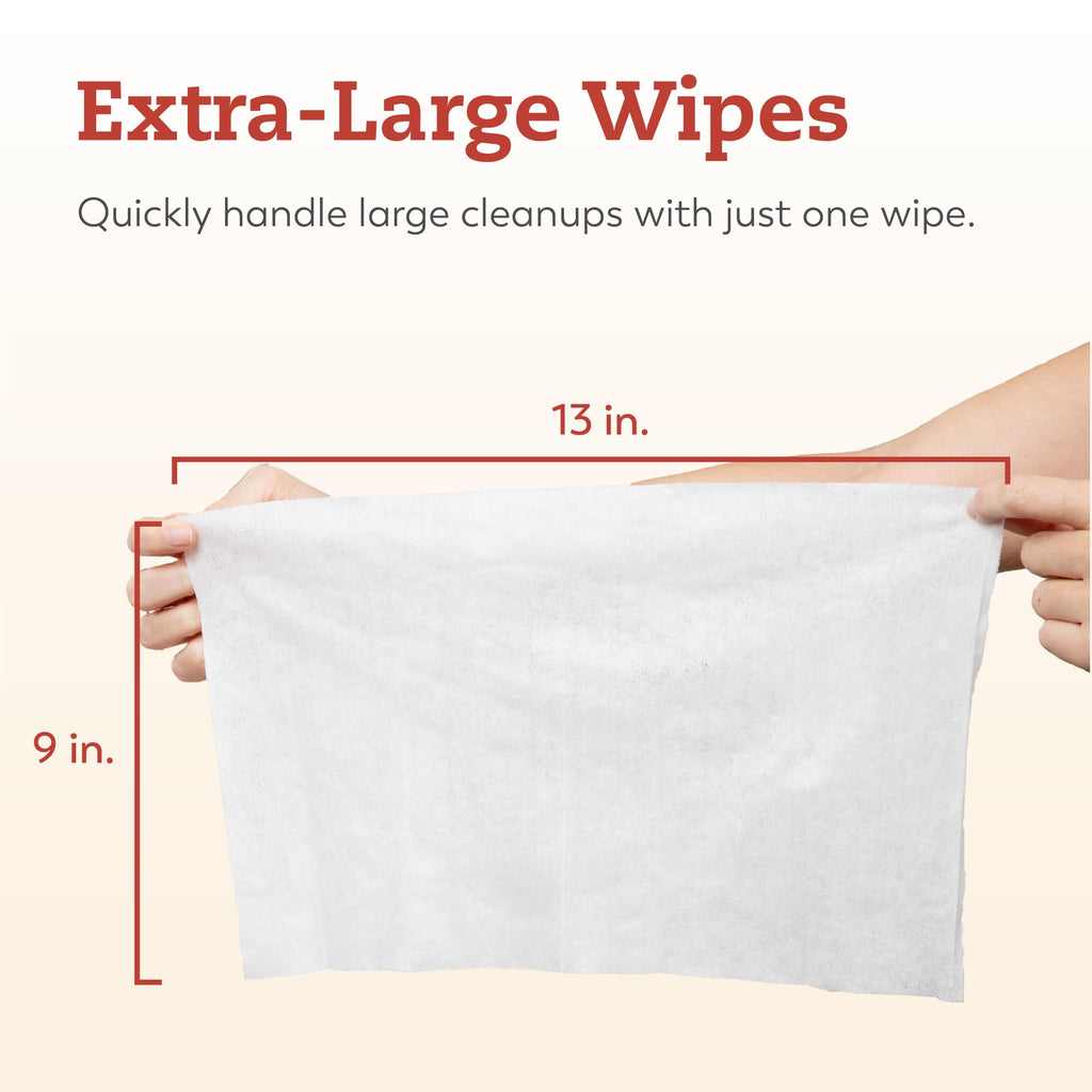 Large Briefs Multi-Pack with Cleansing Wipes B722