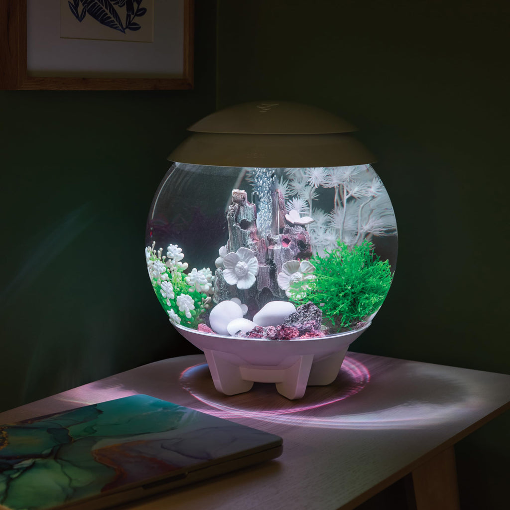 15 Gallon White Aquarium with LED Lights Z868