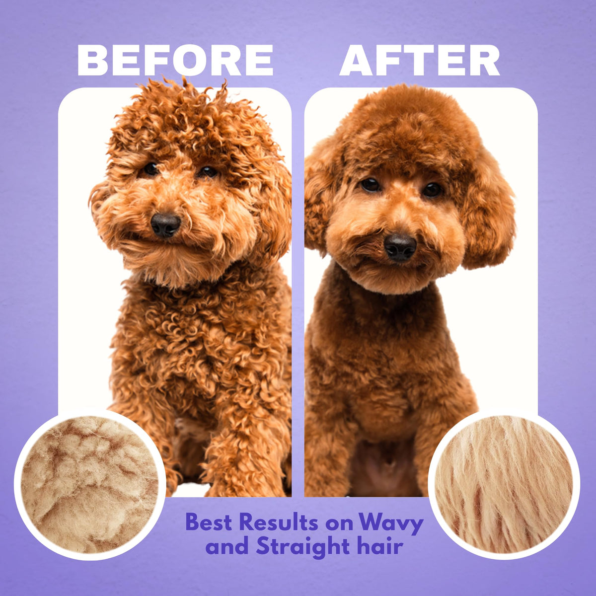 Dog Detangler Spray Leave-in Conditioner 8 oz C280447