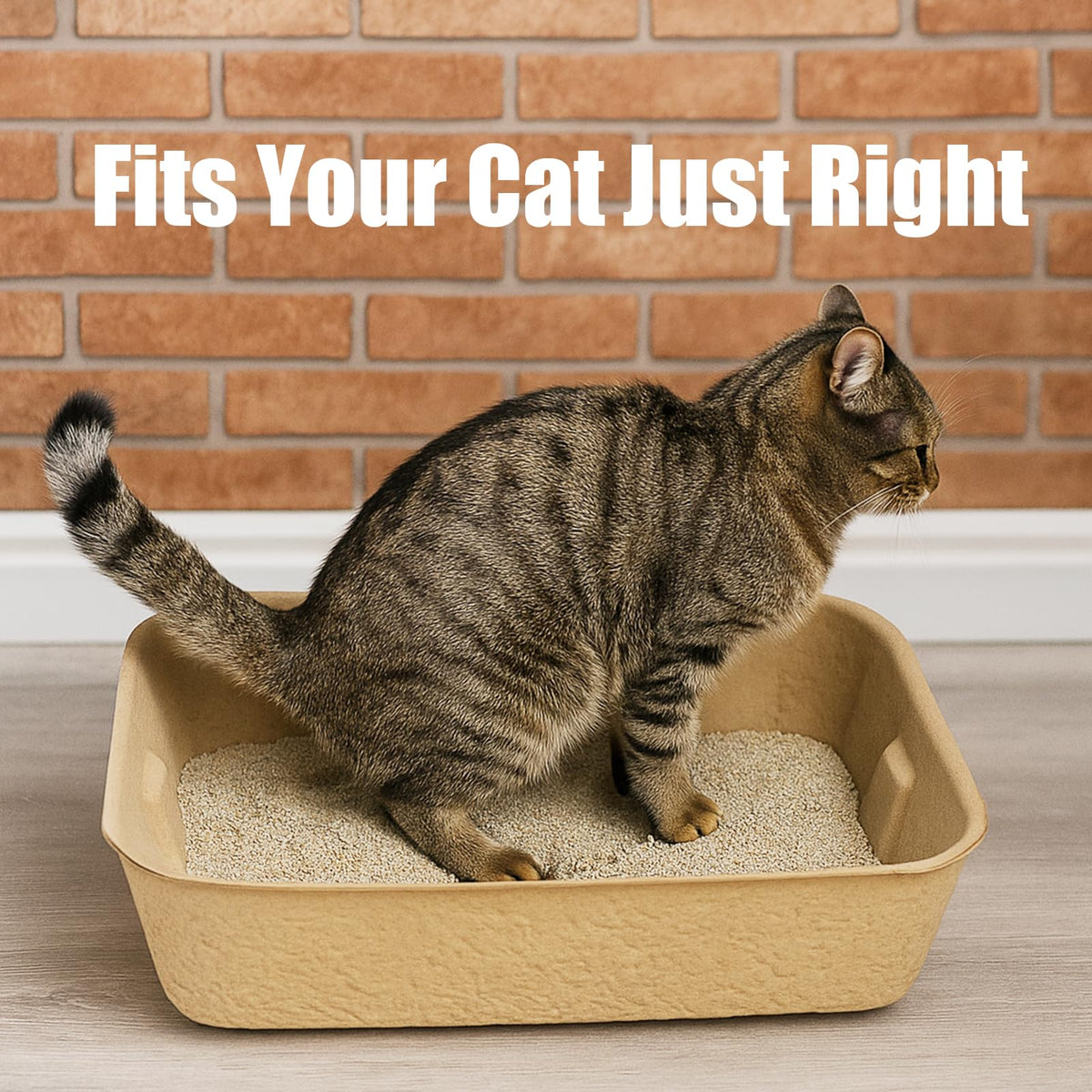 8 Pack Disposable Litter Boxes W22252
