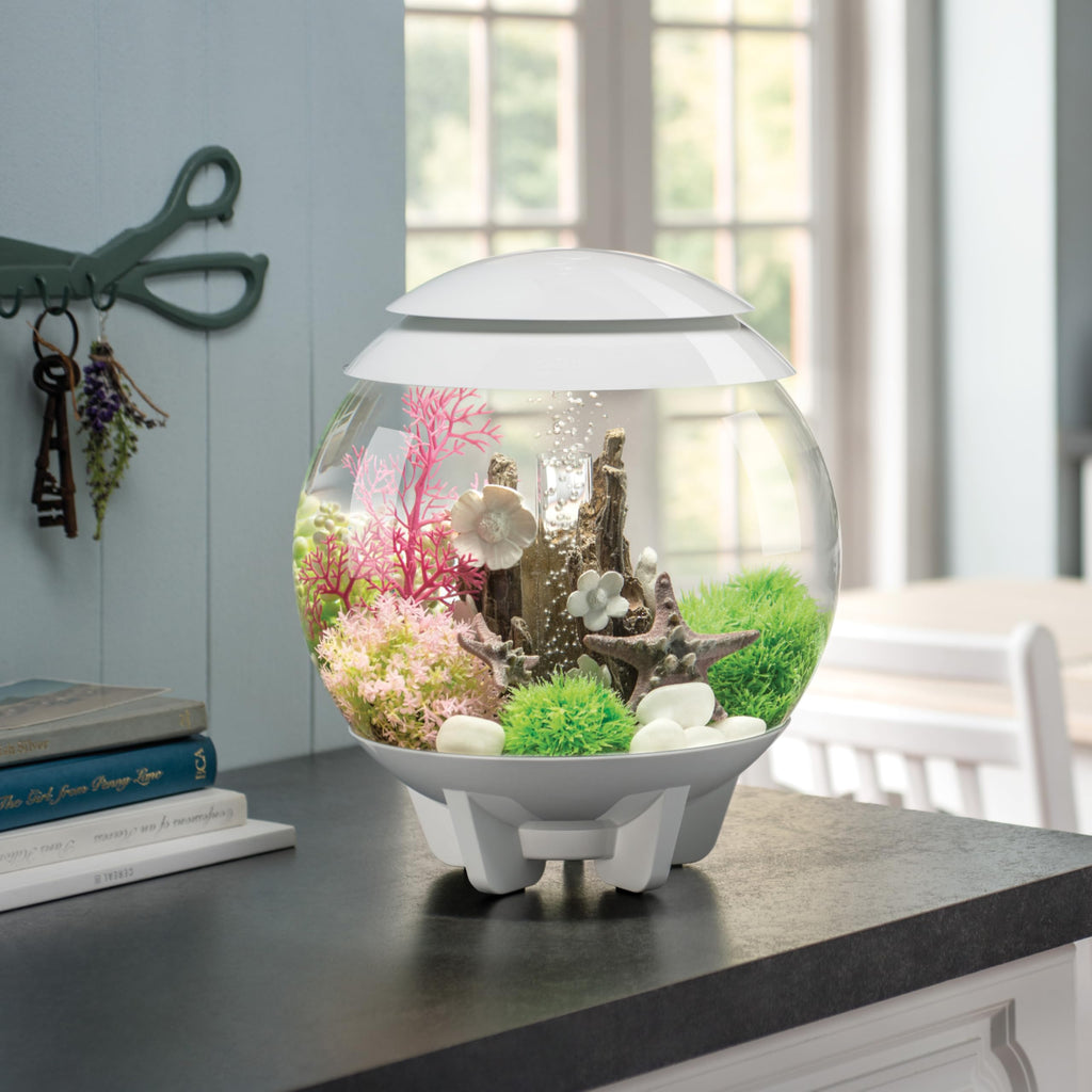 15 Gallon White Aquarium with LED Lights Z868
